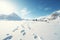 footprints trailing off on a pristine snow-covered glacier