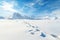 footprints trailing off on a pristine snow-covered glacier