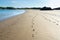 Footprints and trails on sandy beach at low tide