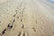 Footprints and trails on sandy beach at low tide - 2