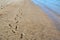 Footprints and trails on sandy beach at low tide - 4