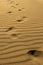 Footprints on the undulating sand