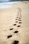 Footprints walking on golden beaches on sunny day