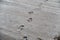 Footprints on wet sand. Close-up of human footprints in distant perspective. Selective focus