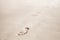 Footprints in white coastal sand