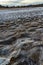 Footprints of wild animal paws on soft wet clay in a bed of a dried river