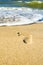 Footprints on the yellow sand flooded with sea waves