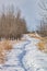 Foots prints and snow in the field. Calgary,Alberta,Canada