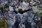 Foots standing near big cracks in barren lava fields