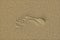 Footstep in sand