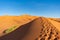 Footsteps along a Sand Dune in the Sahara Desert