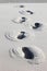 Footsteps on the Ameland Island Beach, Holland