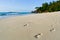 Footsteps on the beach