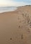 Footsteps on a beach in North Carolina vertical