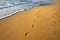 Footsteps on the beach and water