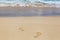 Footsteps at beautiful shoreline at tropical sandy beach in Oahu island