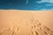 Footsteps on the dunes of Pyla