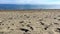Footsteps on empty beach