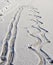 Footsteps on the ice wreathed with snow