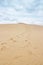 Footsteps leading to the top of Dune of Pilat in France