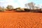 Footsteps in the red centre of Austalian desert