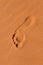 Footsteps in Sahara