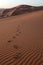 Footsteps in the Sahara Desert