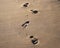 Footsteps on sand on the beach