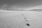 Footsteps on the sand in a deserted beach