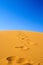 Footsteps on sand dunes