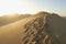 Footsteps on the Sand Dunes