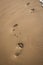 Footsteps in sand. Footprints on the beach. Walk concept. Human steps on the seashore. Summer vacation.