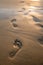 Footsteps in sand at sunset. Beautiful sandy tropical beach with footprints on the shore background.