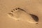 Footsteps in sandy