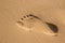 Footsteps in sandy on the beach