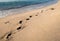 Footsteps on a sandy gold beach and sea water