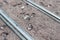 Footsteps in smooth soil between tracks of a tramway