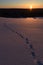 Footsteps in the snow at sunrise