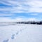 Footsteps on snowbound meadow