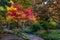 Footway in autumn colors park