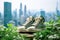 Footwear that actively reduces its carbon emissions, featuring green components and supporting a city-wide recycling system to