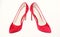 Footwear for women with thin high heels. Elegant stiletto shoes concept. Pair of fashionable high heeled pump shoes