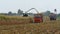 Forage , Harvesting Corn for Silage
