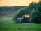 Forage harvesting in the fields.