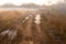 Forbidden countryside road in field at autumn fogy morning.