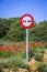 Forbidden overtaking road sign in a rural area