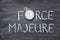 Force majeure watch