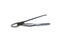 Forceps extraction of teeth