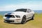 Ford mustang cobra shelby gt500 sportscar vehicle outdoor coast show