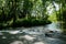 Ford in shady rivulet on sunny summer day